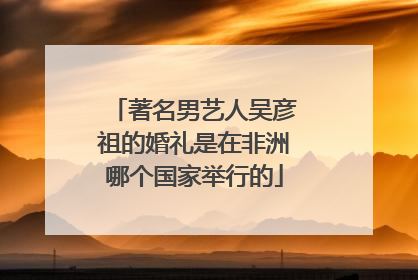 著名男艺人吴彦祖的婚礼是在非洲哪个国家举行的