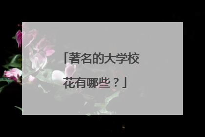 著名的大学校花有哪些？