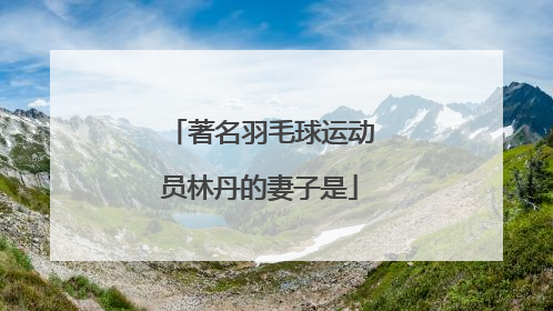 著名羽毛球运动员林丹的妻子是