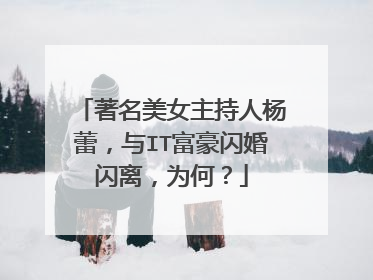 著名美女主持人杨蕾，与IT富豪闪婚闪离，为何？