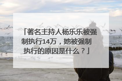 著名主持人杨乐乐被强制执行14万,她被强制执行的原因是什么?