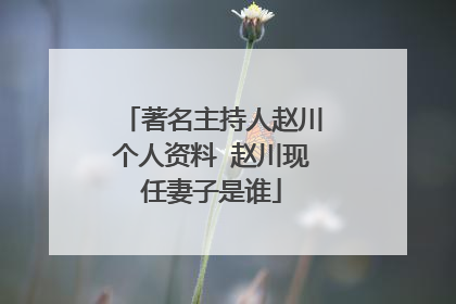 著名主持人赵川个人资料 赵川现任妻子是谁