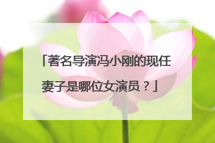 著名导演冯小刚的现任妻子是哪位女演员？