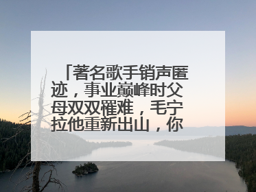 著名歌手销声匿迹,事业巅峰时父母双双罹难,毛宁拉他重新出山,你怎么看?