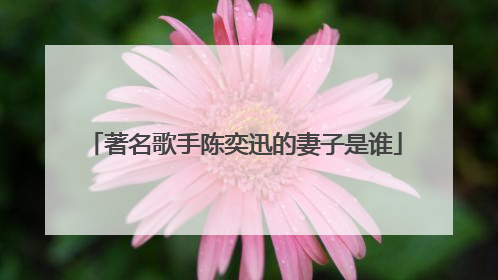 著名歌手陈奕迅的妻子是谁