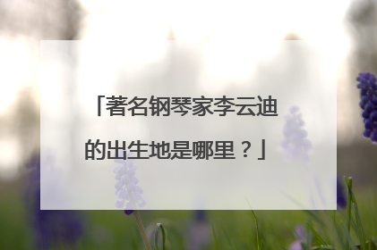 著名钢琴家李云迪的出生地是哪里？