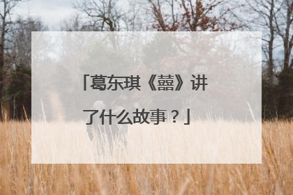 葛东琪《囍》讲了什么故事？