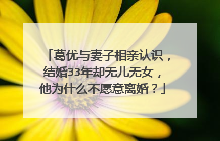 葛优与妻子相亲认识,结婚33年却无儿无女,他为什么不愿意离婚?