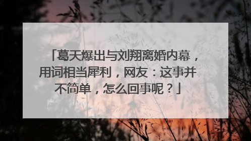 葛天爆出与刘翔离婚内幕,用词相当犀利,网友:这事并不简单,怎么回事呢?