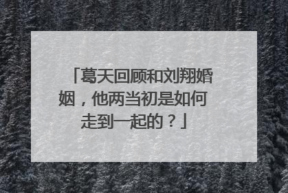葛天回顾和刘翔婚姻,他两当初是如何走到一起的?