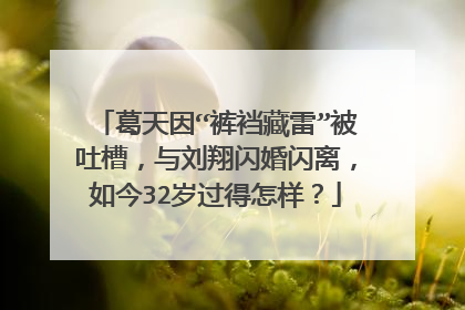 葛天因“裤裆藏雷”被吐槽,与刘翔闪婚闪离,如今32岁过得怎样?