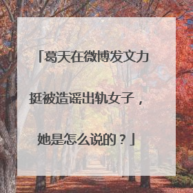 葛天在微博发文力挺被造谣出轨女子，她是怎么说的？