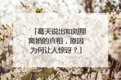 葛天说出和刘翔离婚的真相,原因为何让人惊讶?
