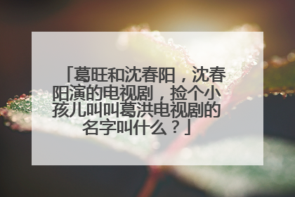 葛旺和沈春阳,沈春阳演的电视剧,捡个小孩儿叫叫葛洪电视剧的名字叫什么?