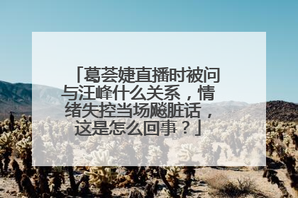 葛荟婕直播时被问与汪峰什么关系，情绪失控当场飚脏话，这是怎么回事？