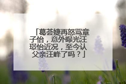 葛荟婕再怒骂章子怡，意外曝光汪璟怡近况，至今认父亲汪峰了吗？