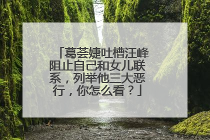 葛荟婕吐槽汪峰阻止自己和女儿联系，列举他三大恶行，你怎么看？