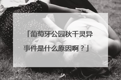 葡萄牙公园秋千灵异事件是什么原因啊？