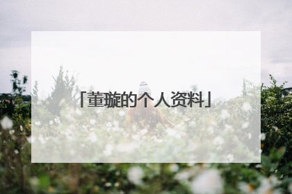 董璇的个人资料