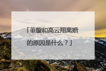 董璇和高云翔离婚的原因是什么？