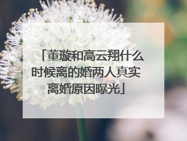 董璇和高云翔什么时候离的婚两人真实离婚原因曝光