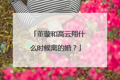 董璇和高云翔什么时候离的婚?