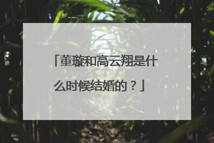 董璇和高云翔是什么时候结婚的？