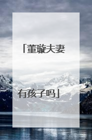 董璇夫妻有孩子吗