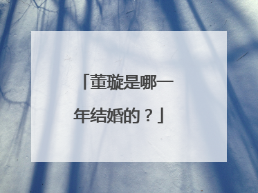 董璇是哪一年结婚的?