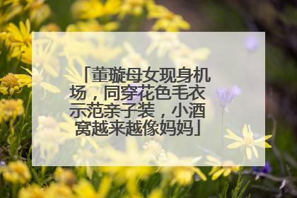 董璇母女现身机场,同穿花色毛衣示范亲子装,小酒窝越来越像妈妈