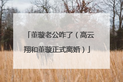 董璇老公咋了（高云翔和董璇正式离婚）