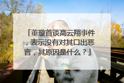 董璇首谈高云翔事件,表示没有对其口出恶言,其原因是什么?