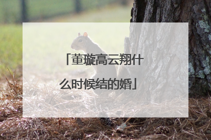 董璇高云翔什么时候结的婚