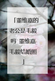 董维嘉的老公是毛毅吗 董维嘉毛毅结婚照