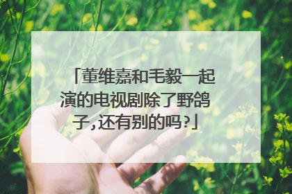 董维嘉和毛毅一起演的电视剧除了野鸽子,还有别的吗?