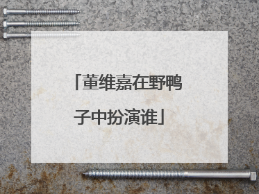 董维嘉在野鸭子中扮演谁