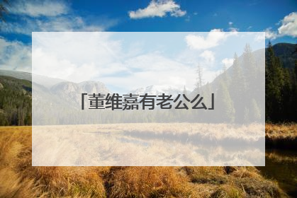 董维嘉有老公么