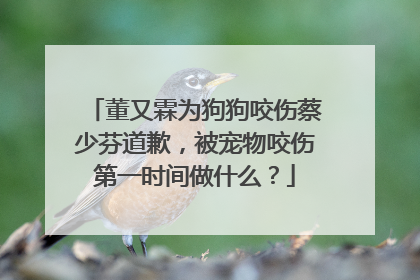 董又霖为狗狗咬伤蔡少芬道歉,被宠物咬伤第一时间做什么?