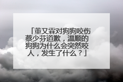 董又霖对狗狗咬伤蔡少芬道歉,温顺的狗狗为什么会突然咬人,发生了什么?