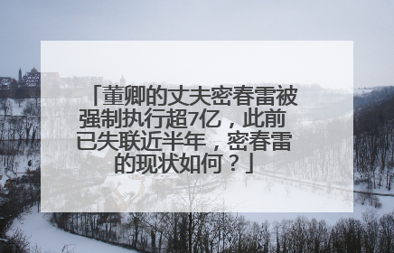 董卿的丈夫密春雷被强制执行超7亿，此前已失联近半年，密春雷的现状如何？