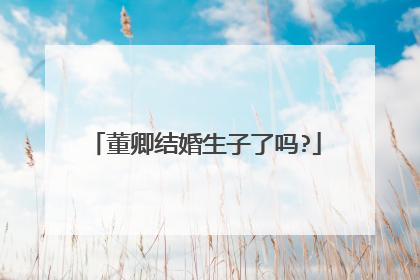 董卿结婚生子了吗?