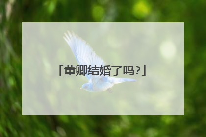 董卿结婚了吗?