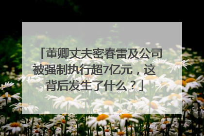 董卿丈夫密春雷及公司被强制执行超7亿元，这背后发生了什么？