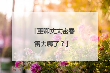 董卿丈夫密春雷去哪了?