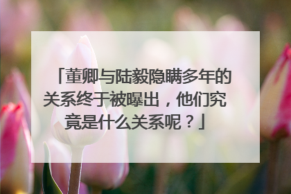 董卿与陆毅隐瞒多年的关系终于被曝出，他们究竟是什么关系呢？