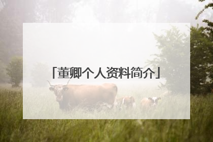 董卿个人资料简介