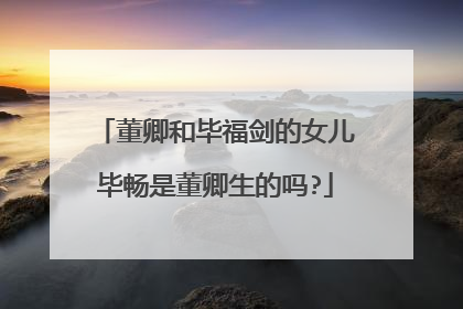 董卿和毕福剑的女儿毕畅是董卿生的吗?