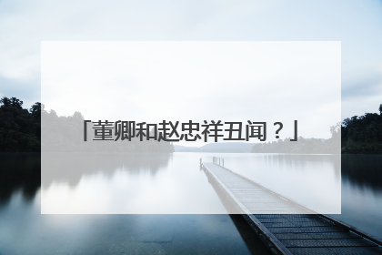 董卿和赵忠祥丑闻？