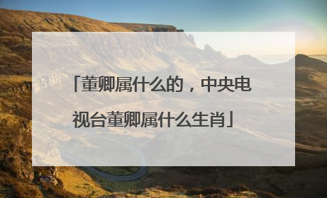 董卿属什么的,中央电视台董卿属什么生肖