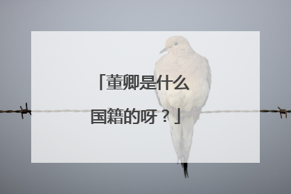 董卿是什么国籍的呀?